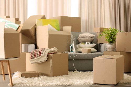 Boxes and furniture prepared for storage and transport